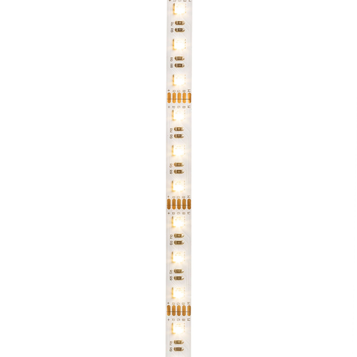 RENDL LED-strip LED STRIP ORION RGBW LED-strip 5m 12V= LED 96W 120° RGBW G13820 1