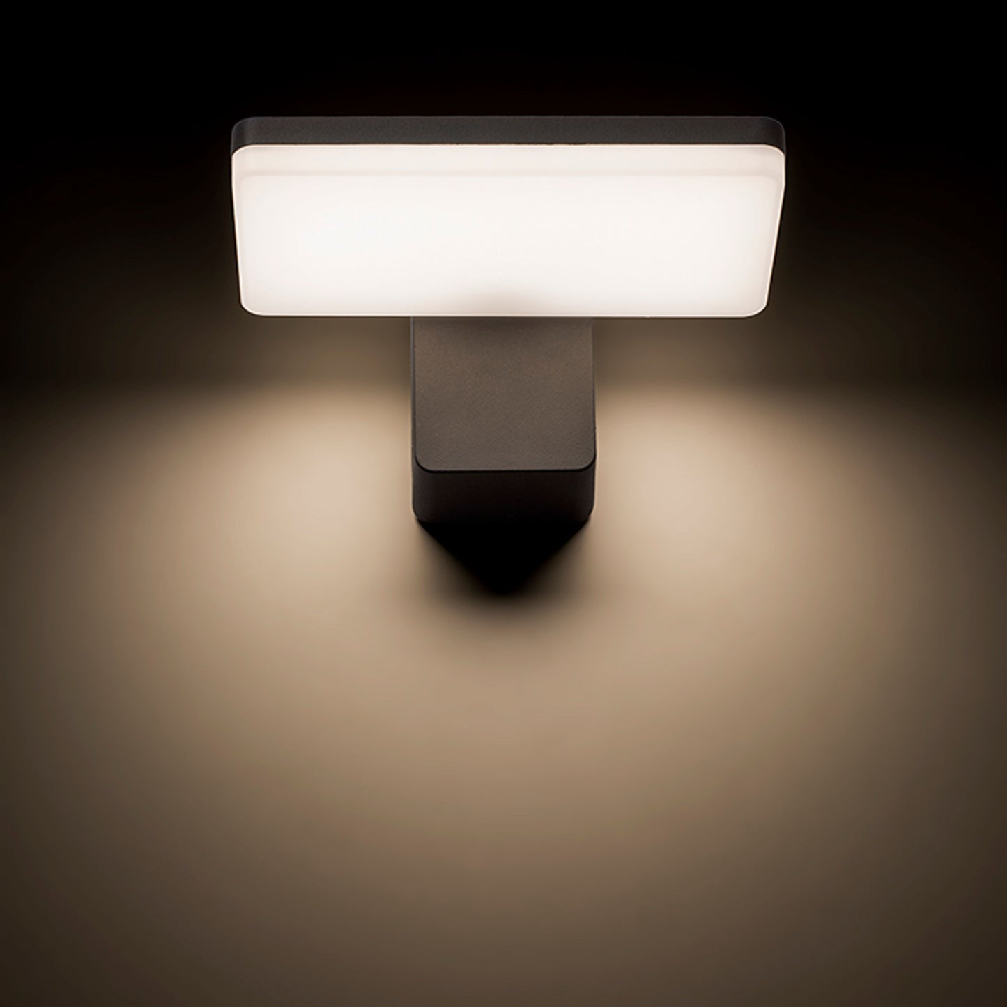 RENDL outdoor lamp RINA wall anthracite grey 230V LED 12W IP65 3000K R11947 8
