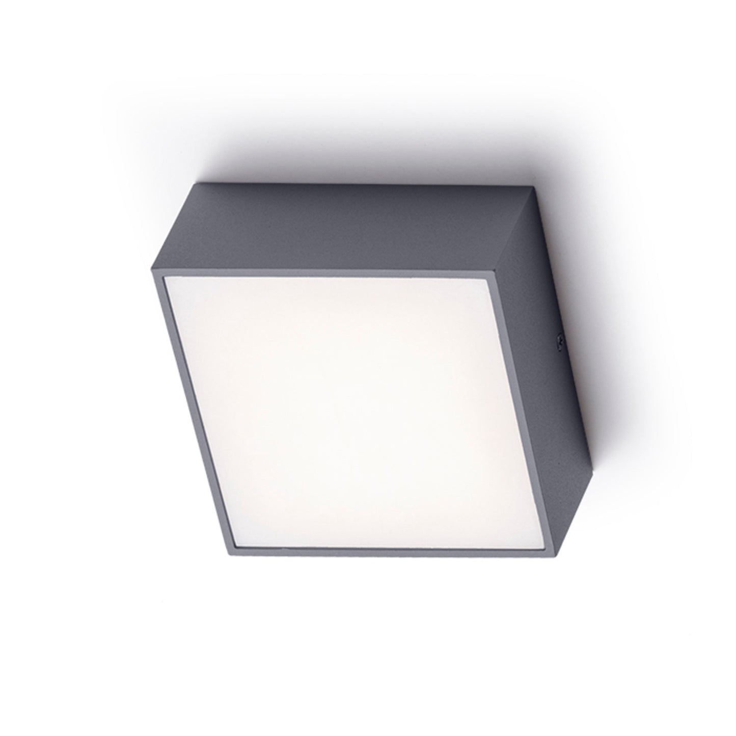 RENDL outdoor lamp BONO surface mounted anthracite grey 230V LED 4W IP65 3000K R11967 1