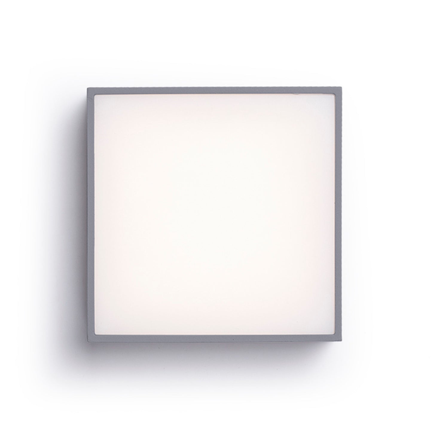 RENDL outdoor lamp BONO surface mounted anthracite grey 230V LED 4W IP65 3000K R11967 2