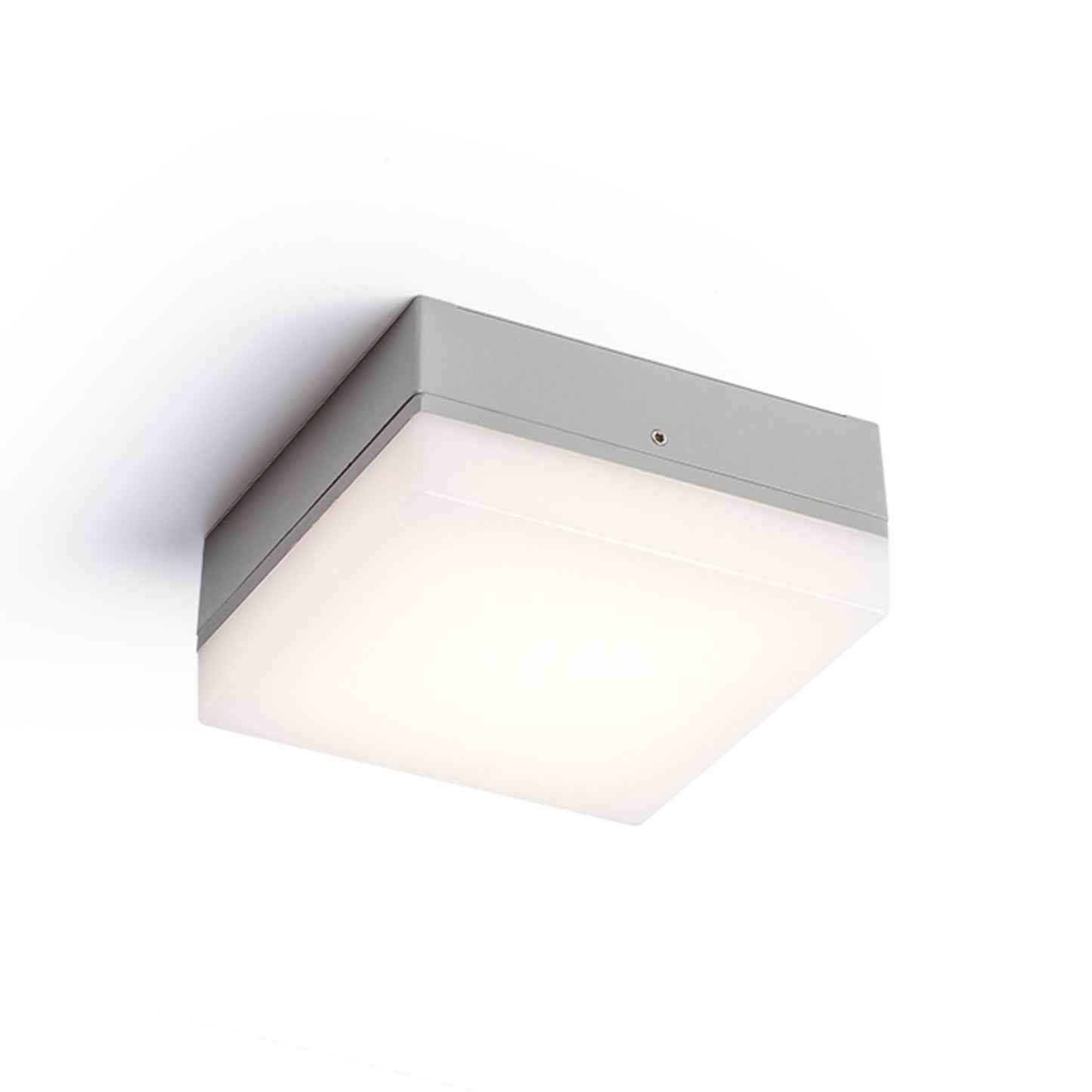RENDL outdoor lamp SPECTACLE surface mounted silver grey 230V LED 5W IP54 3000K R11968 1
