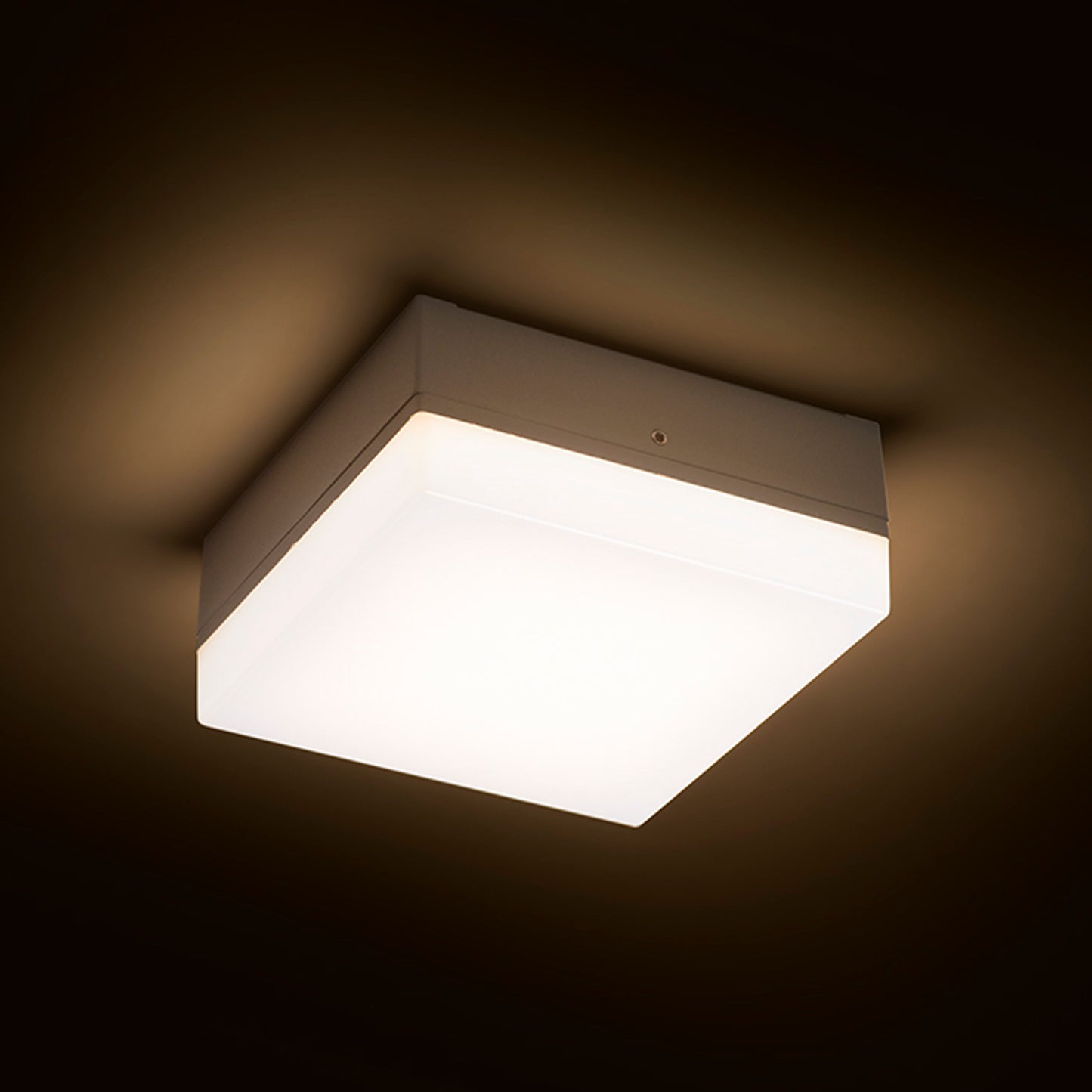 RENDL outdoor lamp SPECTACLE surface mounted silver grey 230V LED 5W IP54 3000K R11968 2
