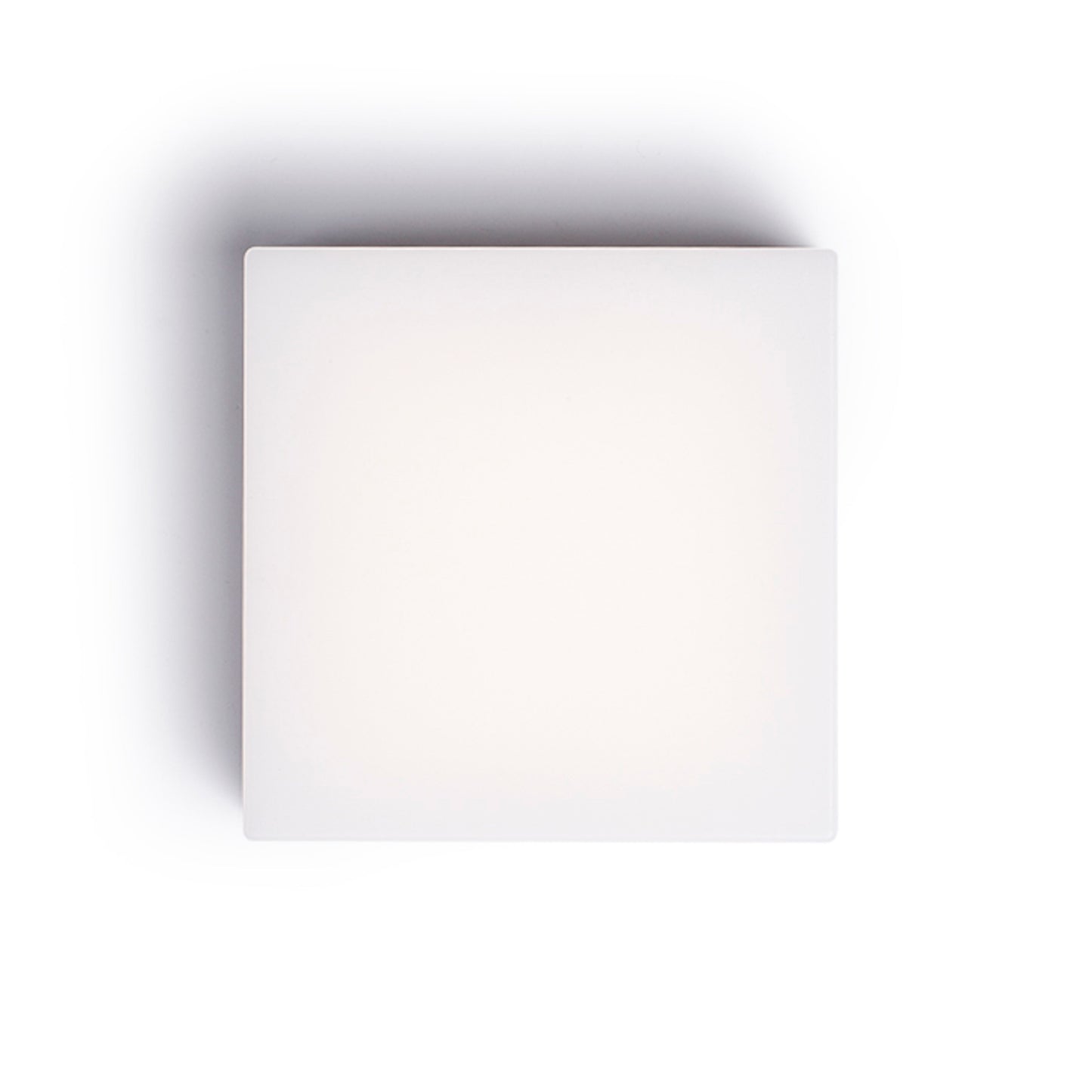 RENDL outdoor lamp SPECTACLE surface mounted silver grey 230V LED 5W IP54 3000K R11968 3