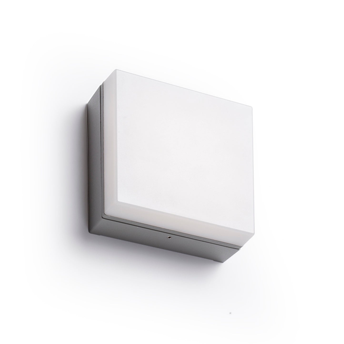 RENDL outdoor lamp SPECTACLE surface mounted silver grey 230V LED 5W IP54 3000K R11968 4