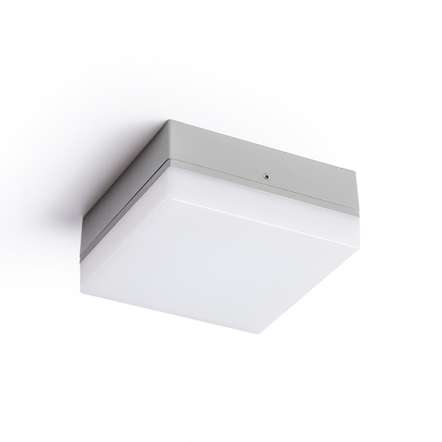 RENDL outdoor lamp SPECTACLE surface mounted silver grey 230V LED 5W IP54 3000K R11968 6