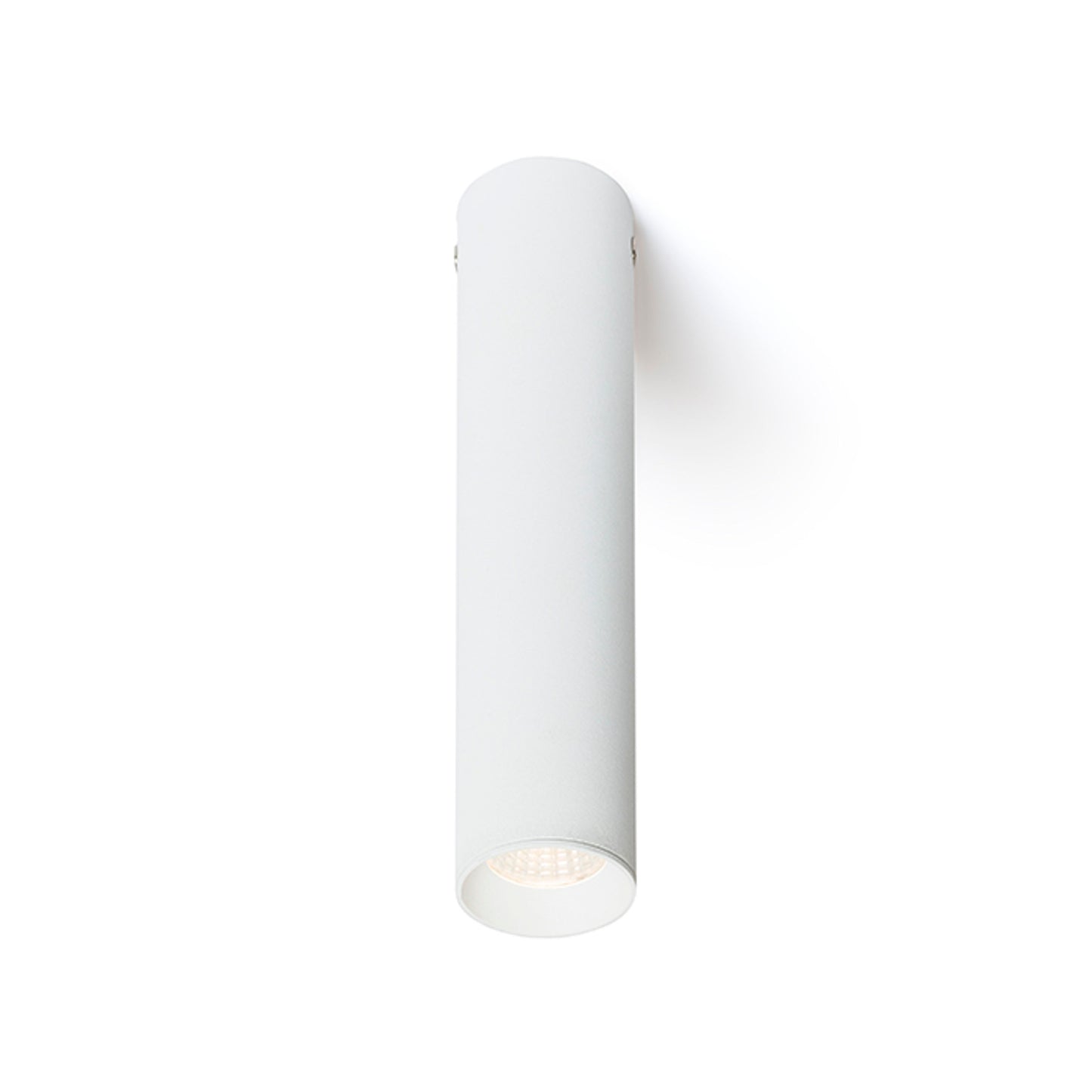 RENDL surface mounted lamp RIGA 18 ceiling white 230V LED 4W 38° 3000K R12450 1