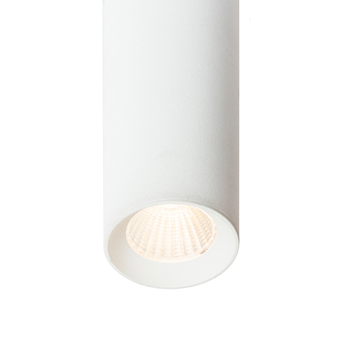 RENDL surface mounted lamp RIGA 18 ceiling white 230V LED 4W 38° 3000K R12450 2