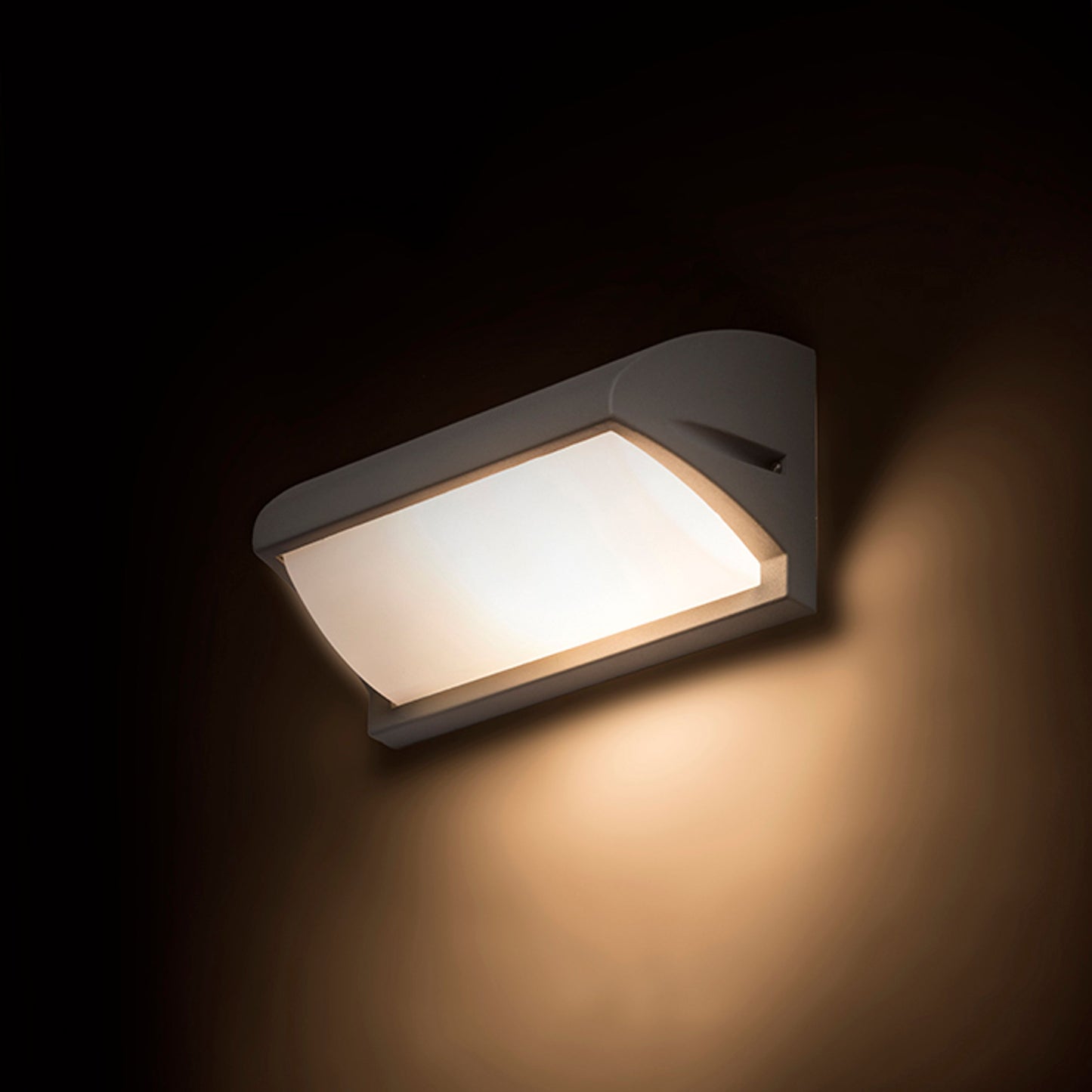 RENDL outdoor lamp MORA wall silver grey 230V LED E27 15W IP54 R12571 4