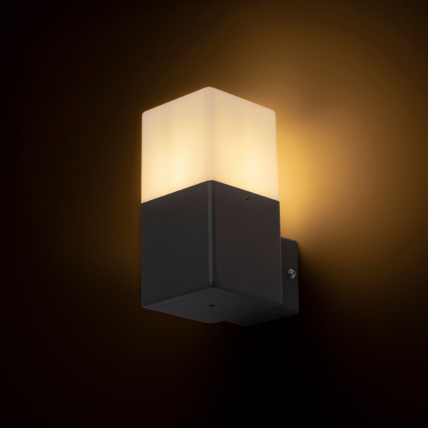 RENDL outdoor lamp CLYDE wall anthracite grey 230V LED E27 11W IP44 R13637 2