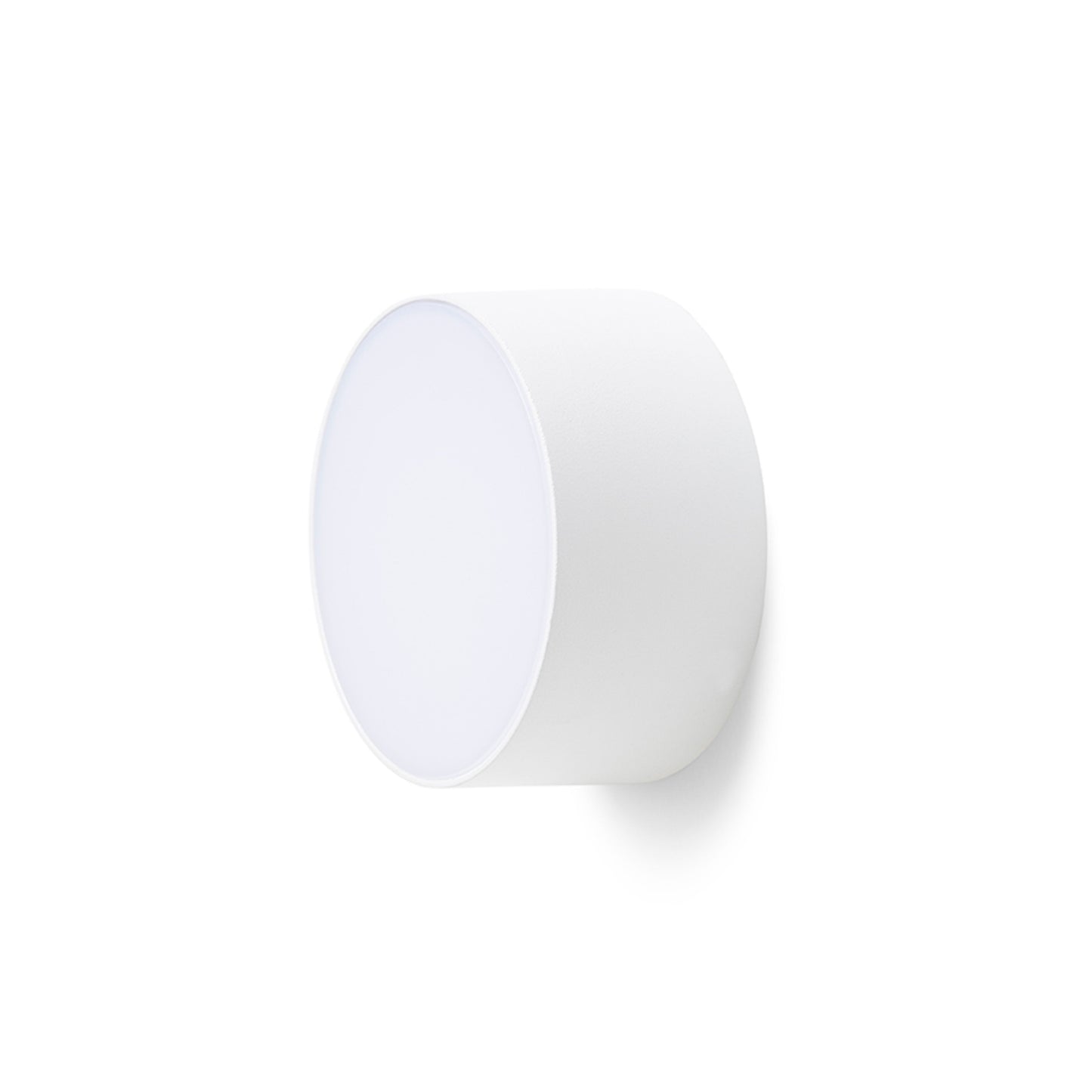 RENDL outdoor lamp LARISA OUT 12 surface mounted white 230V LED 10W IP65 3000K 4000K 5700K R14123 2