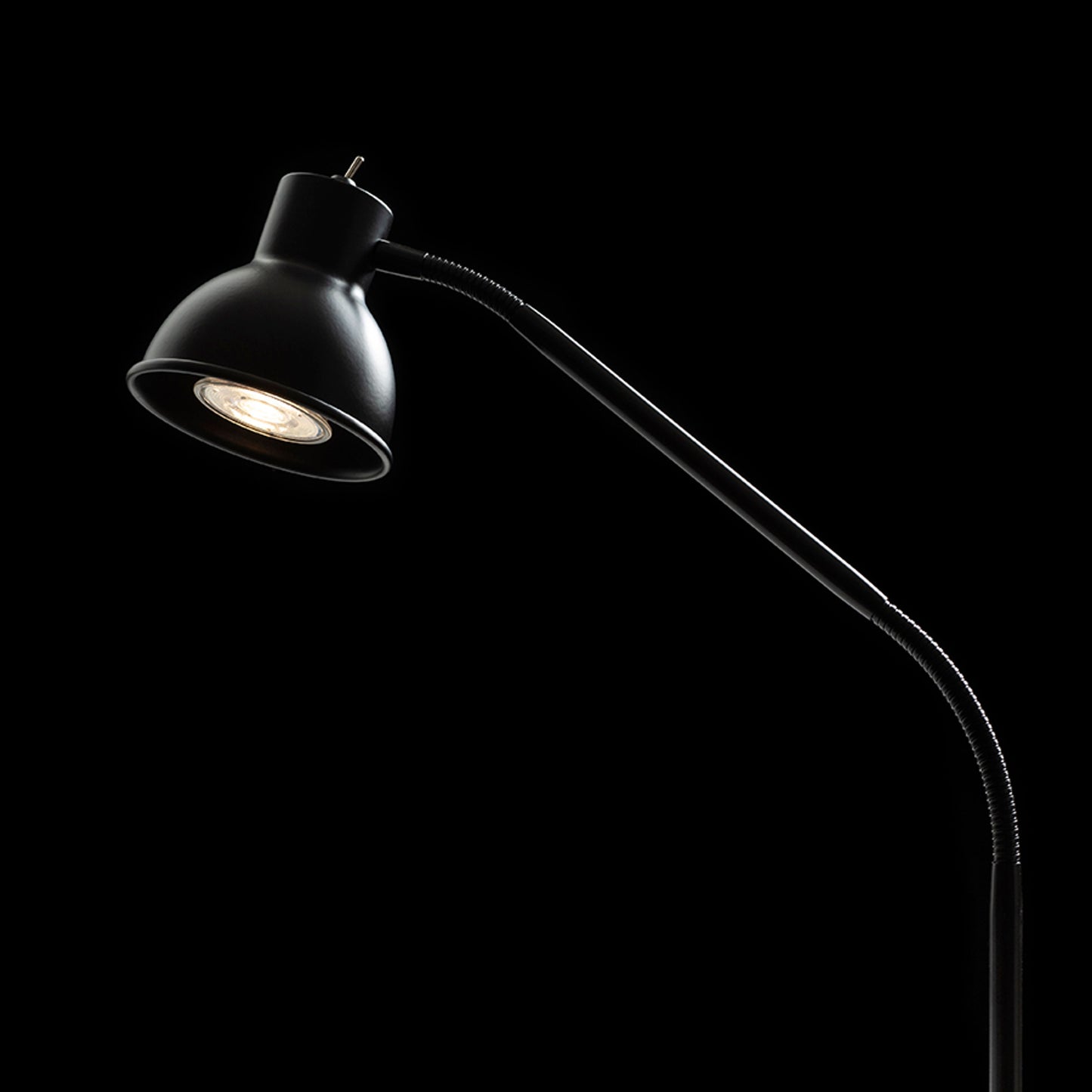 RENDL table lamp HARMONY with clamp for desks black 230V LED GU10 8W R14377 4