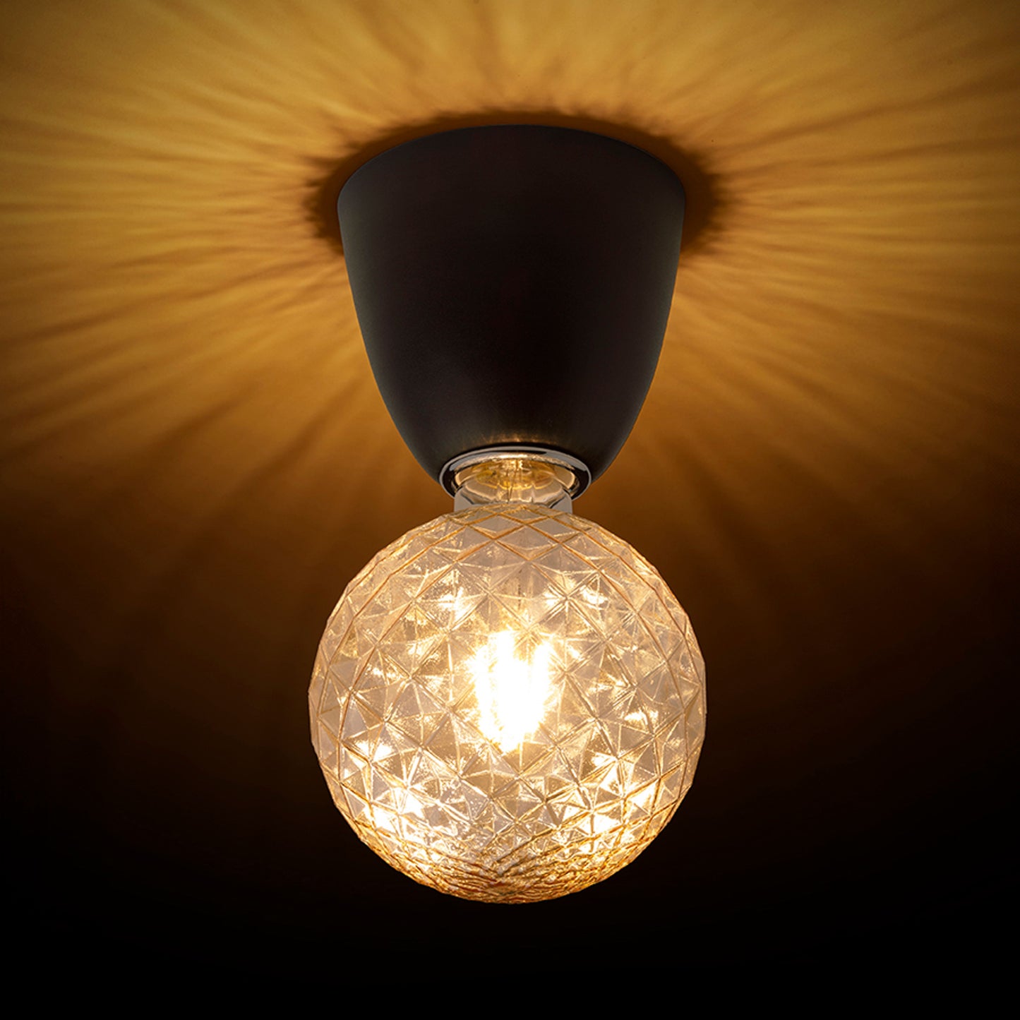 RENDL surface mounted lamp REACH ceiling black 230V LED E27 11W R14386 3