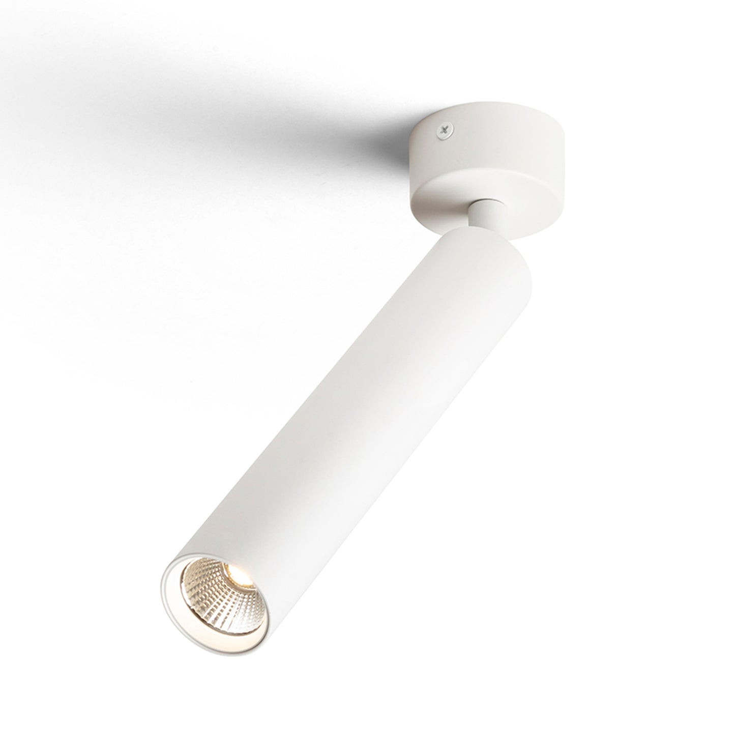 RENDL spotlight DARRIN R surface mounted white 230V LED 6W 24° 3000K R14470 2