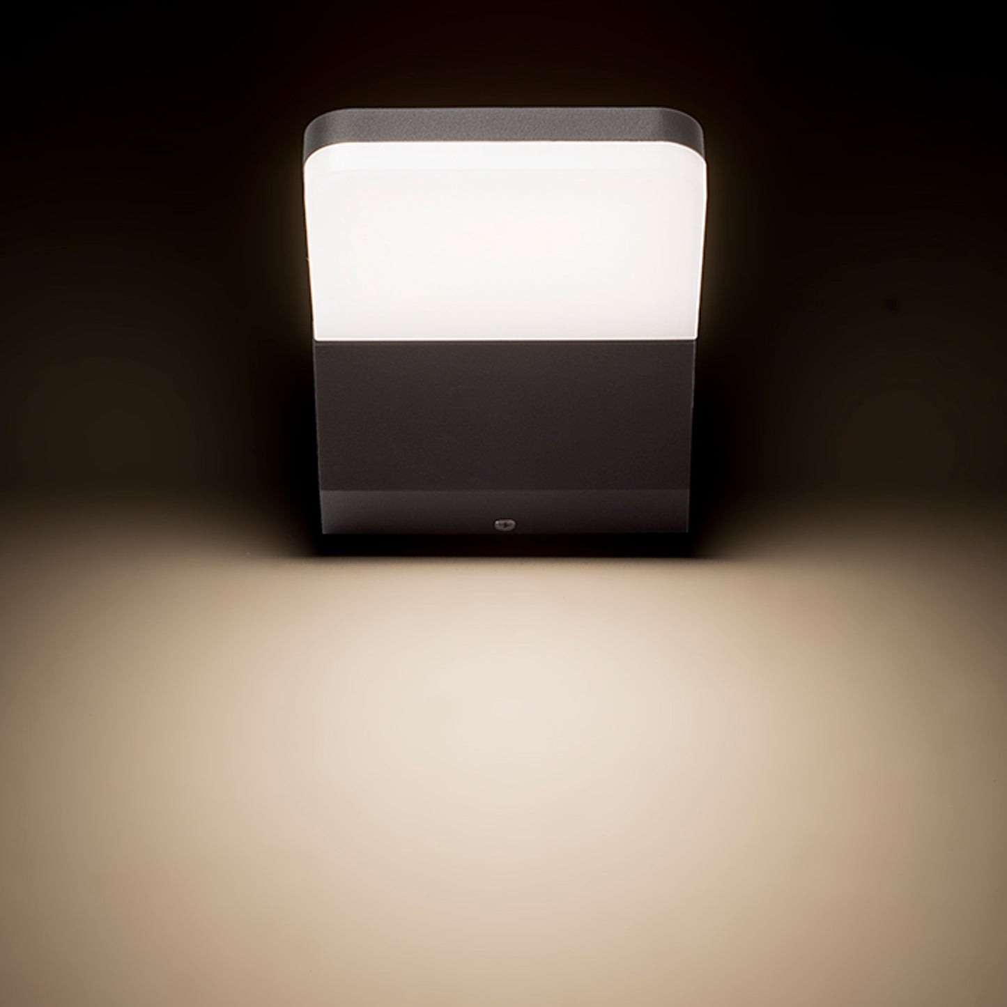 RENDL outdoor lamp VIRGO wall anthracite grey  230V LED 9W IP65  3000K R11946 8
