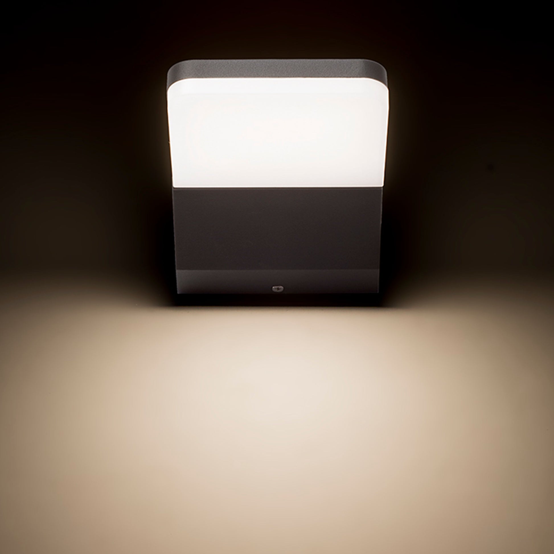 RENDL outdoor lamp VIRGO wall anthracite grey  230V LED 9W IP65  3000K R11946 8