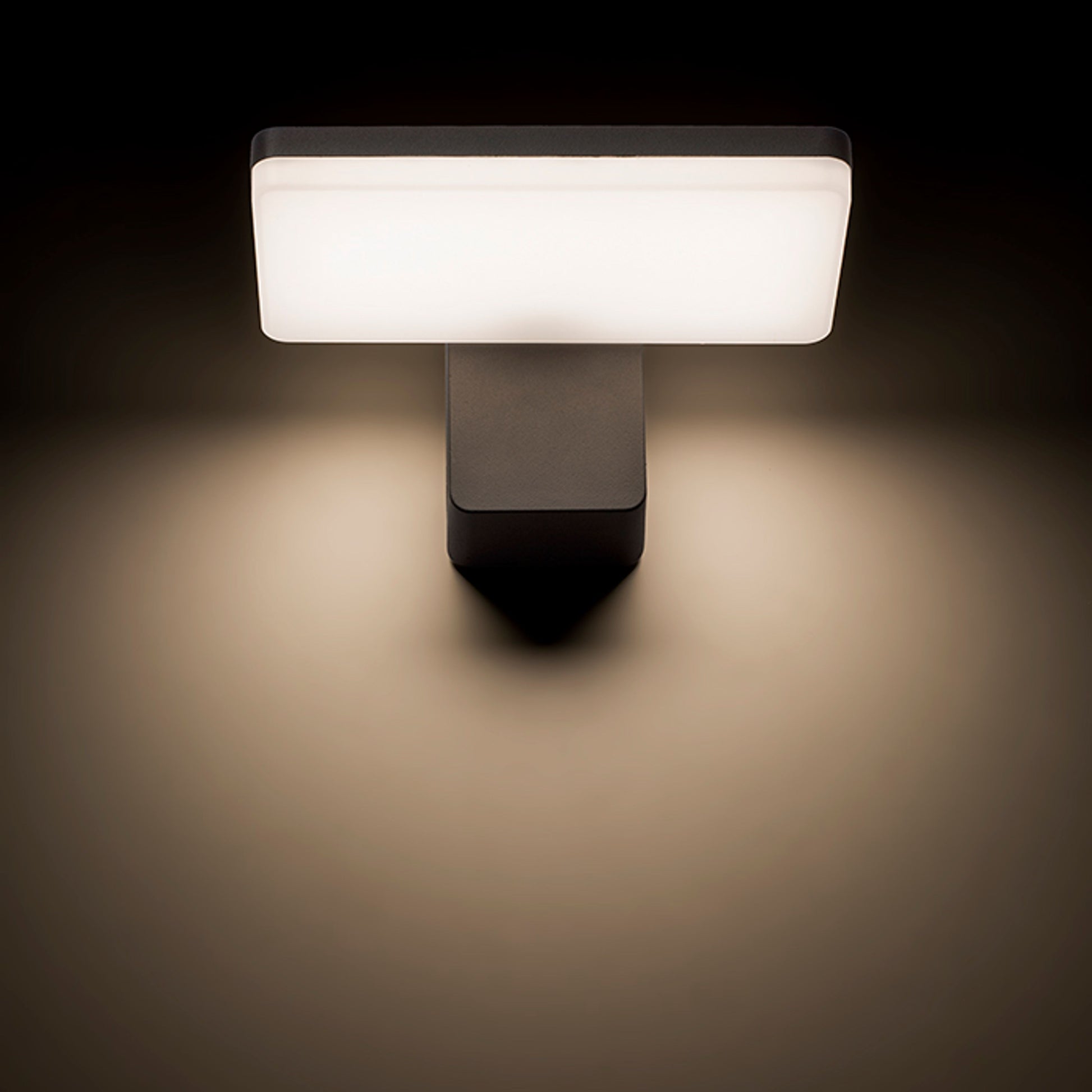 RENDL outdoor lamp RINA wall anthracite grey  230V LED 12W IP65  3000K R11947 8