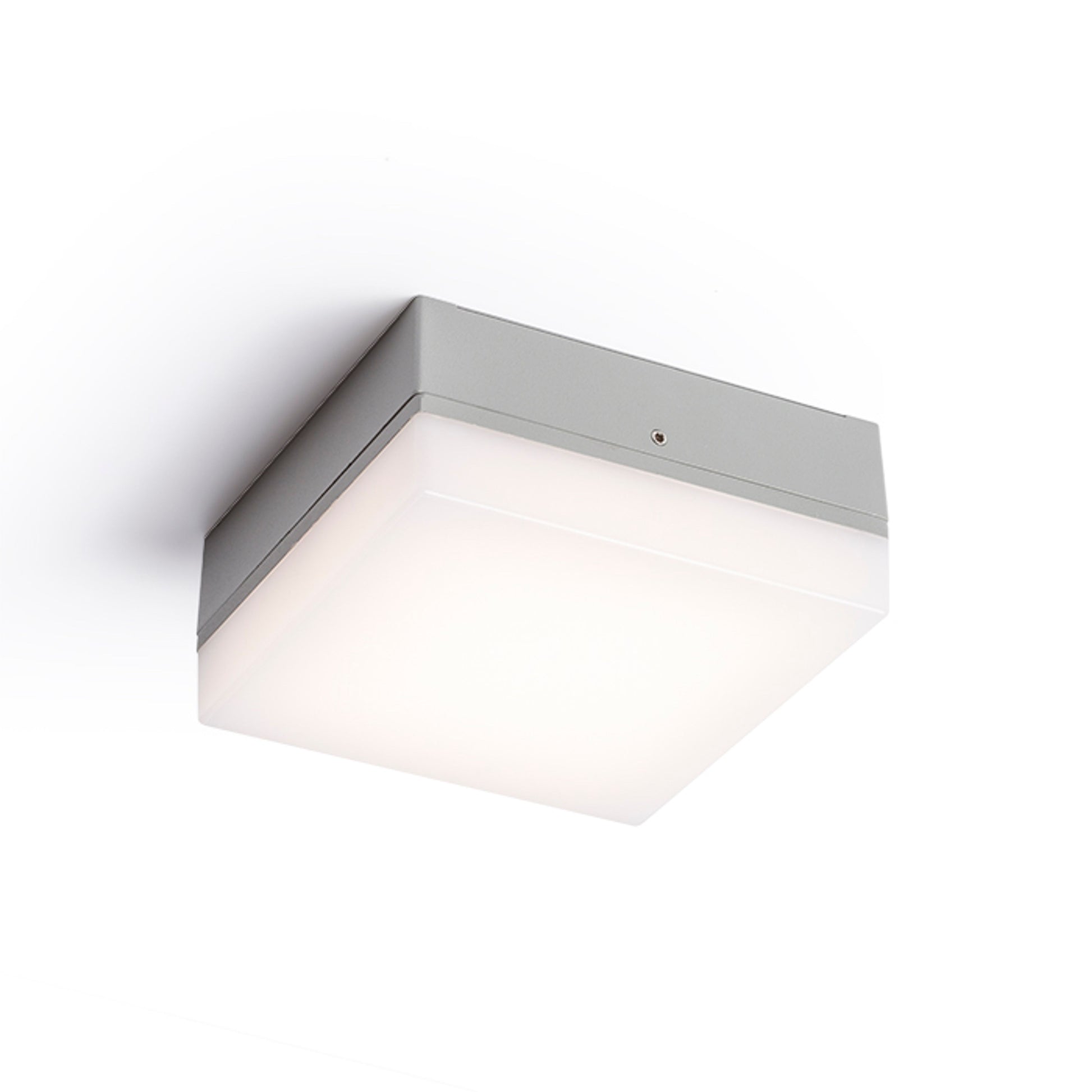 RENDL outdoor lamp SPECTACLE surface mounted silver grey  230V LED 5W IP54  3000K R11968 1