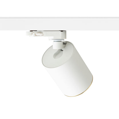 RENDL 3-circuit track system DARIO for 3-circuit tracks white brushed brass 230V LED GU10 9W R13873 2