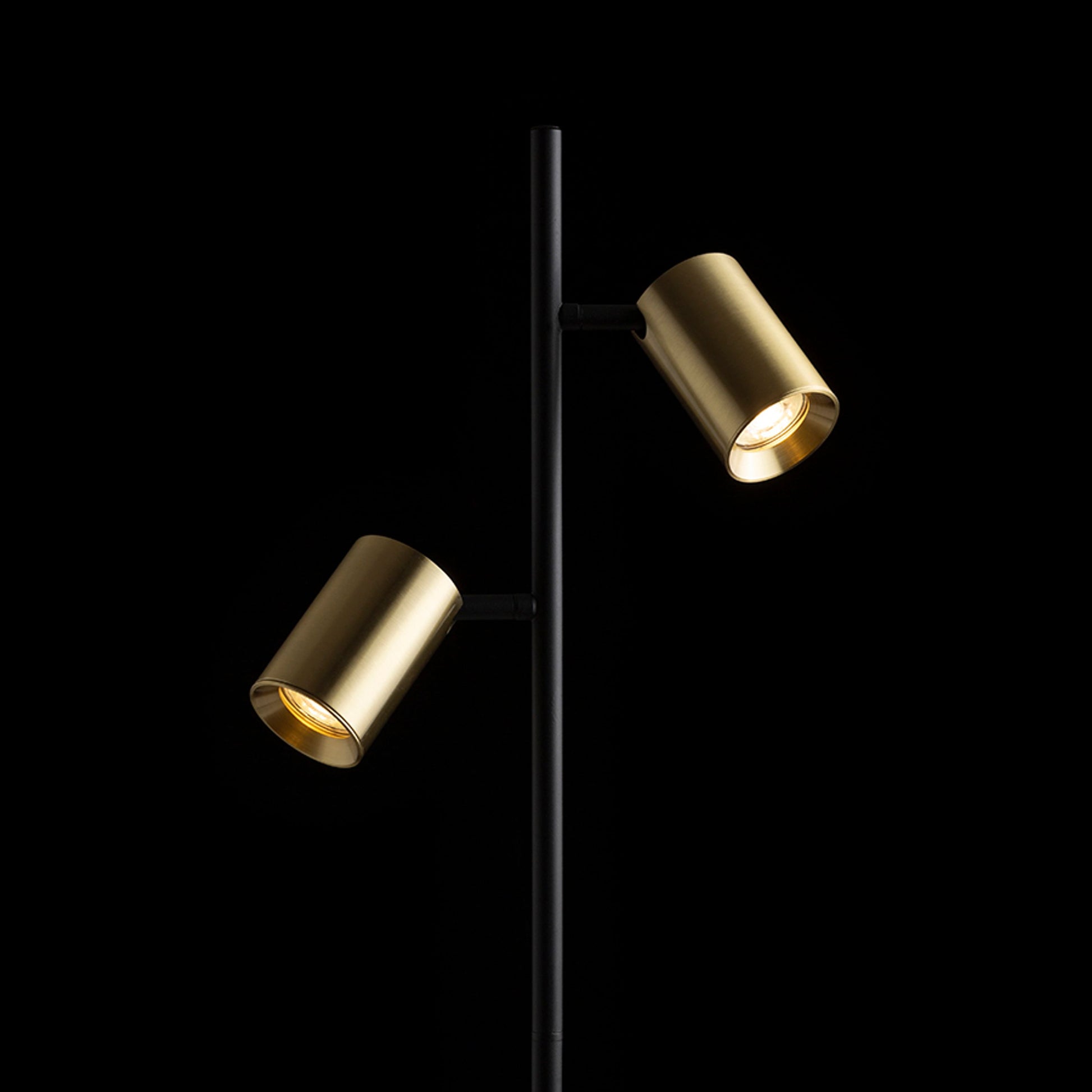 RENDL floor lamp FLYNN II floor  black/brushed brass 230V LED GU10 2x9W R14267 4