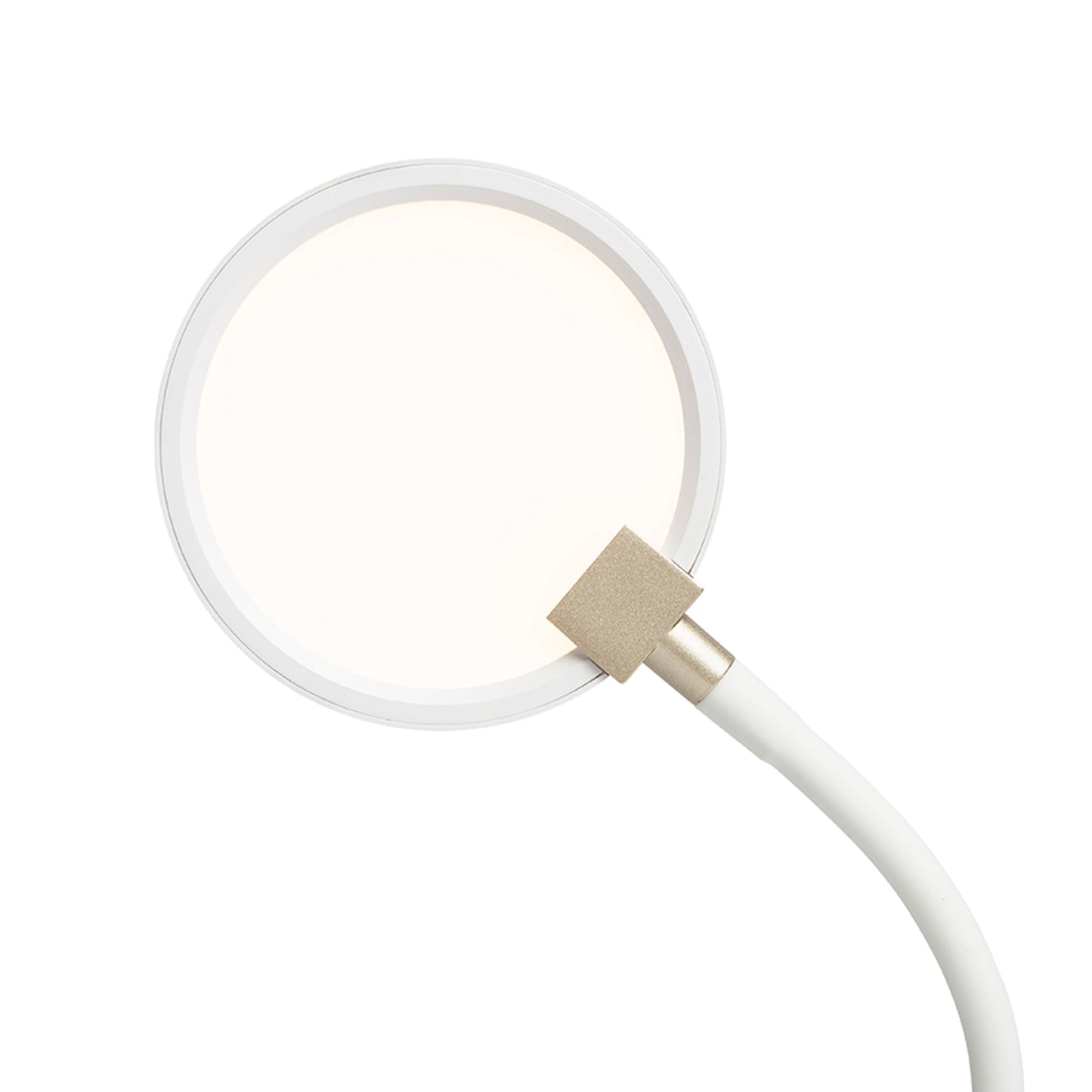 RENDL spotlight CELESTE wall white 230V LED 4.8W 3000K R14278 4