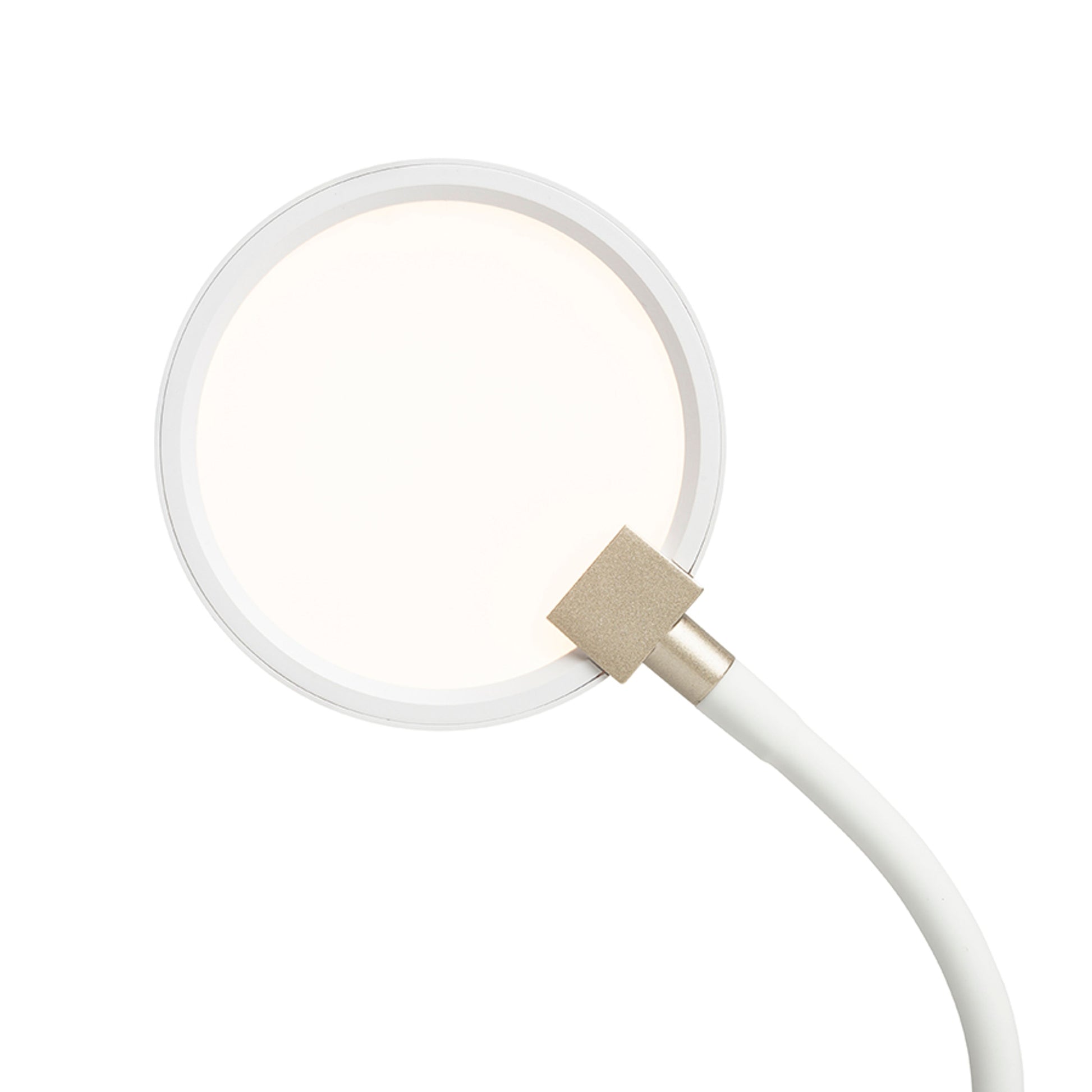 RENDL spotlight CELESTE wall white 230V LED 4.8W 3000K R14278 4
