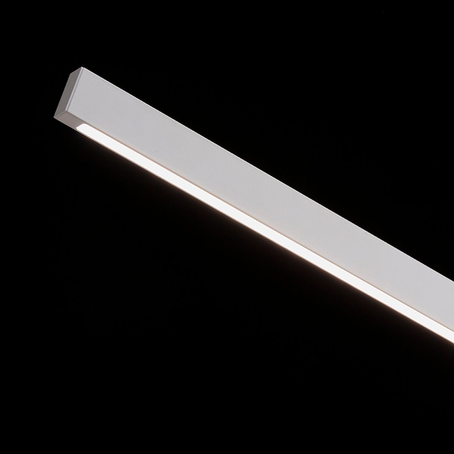 RENDL table lamp ROD DIMM table white  230V LED 5.5W  3000K 4000K 6500K R14294 4